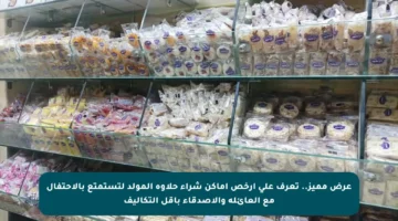 عرض مميز.. تعرف على أرخص أماكن شراء حلاوة المولد لتستمتع بالاحتفال مع العائلة والأصدقاء بأقل التكاليف